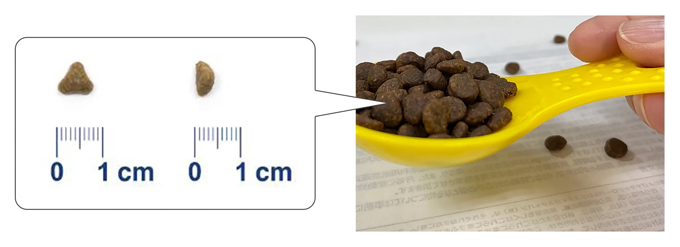 専用スプーンの上に盛られたキャットフードの大きさの比較