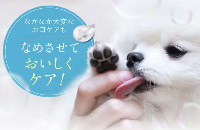 飼い主の指を舐める犬