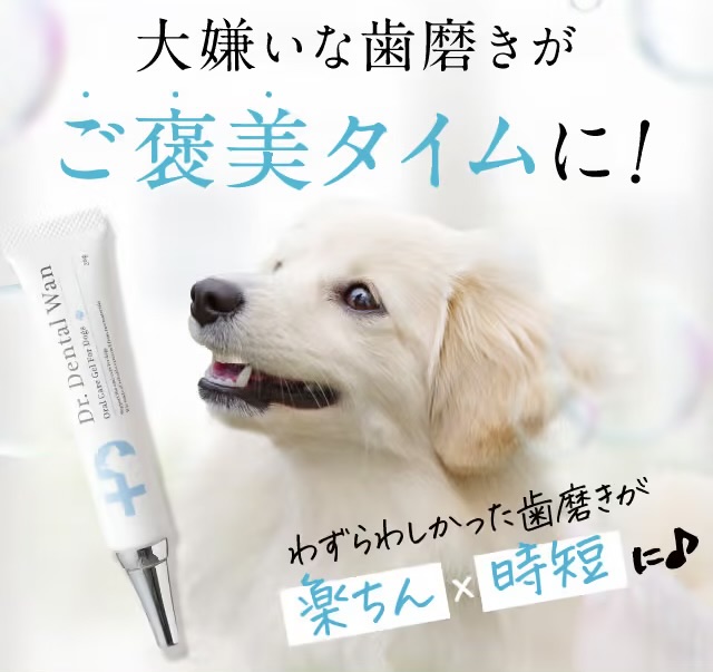 ペット用のデンタルケア商品を使うことで、大嫌いな歯磨きがご褒美タイムになり、喜ぶ犬