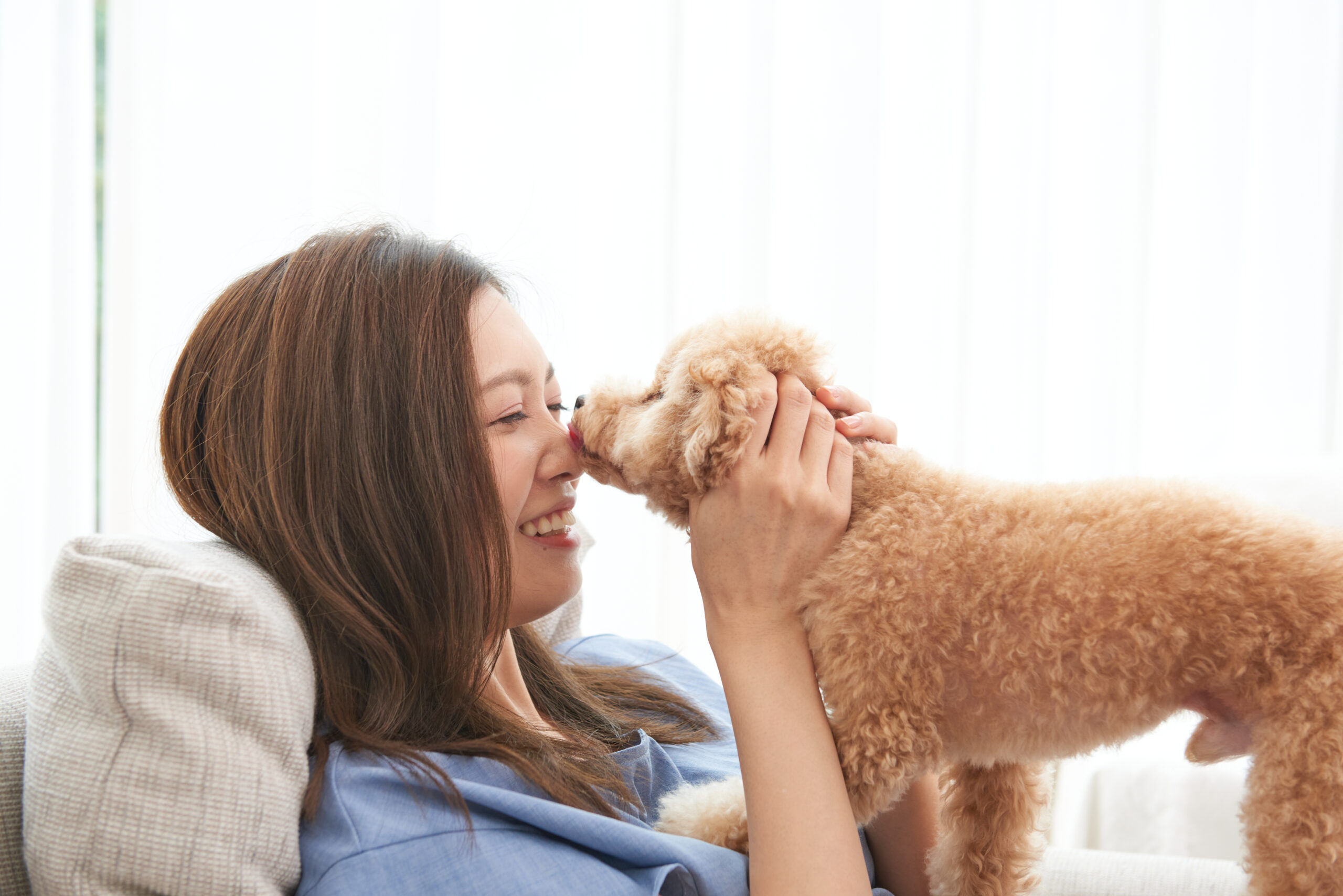 愛犬に鼻を舐められて、喜ぶ女性