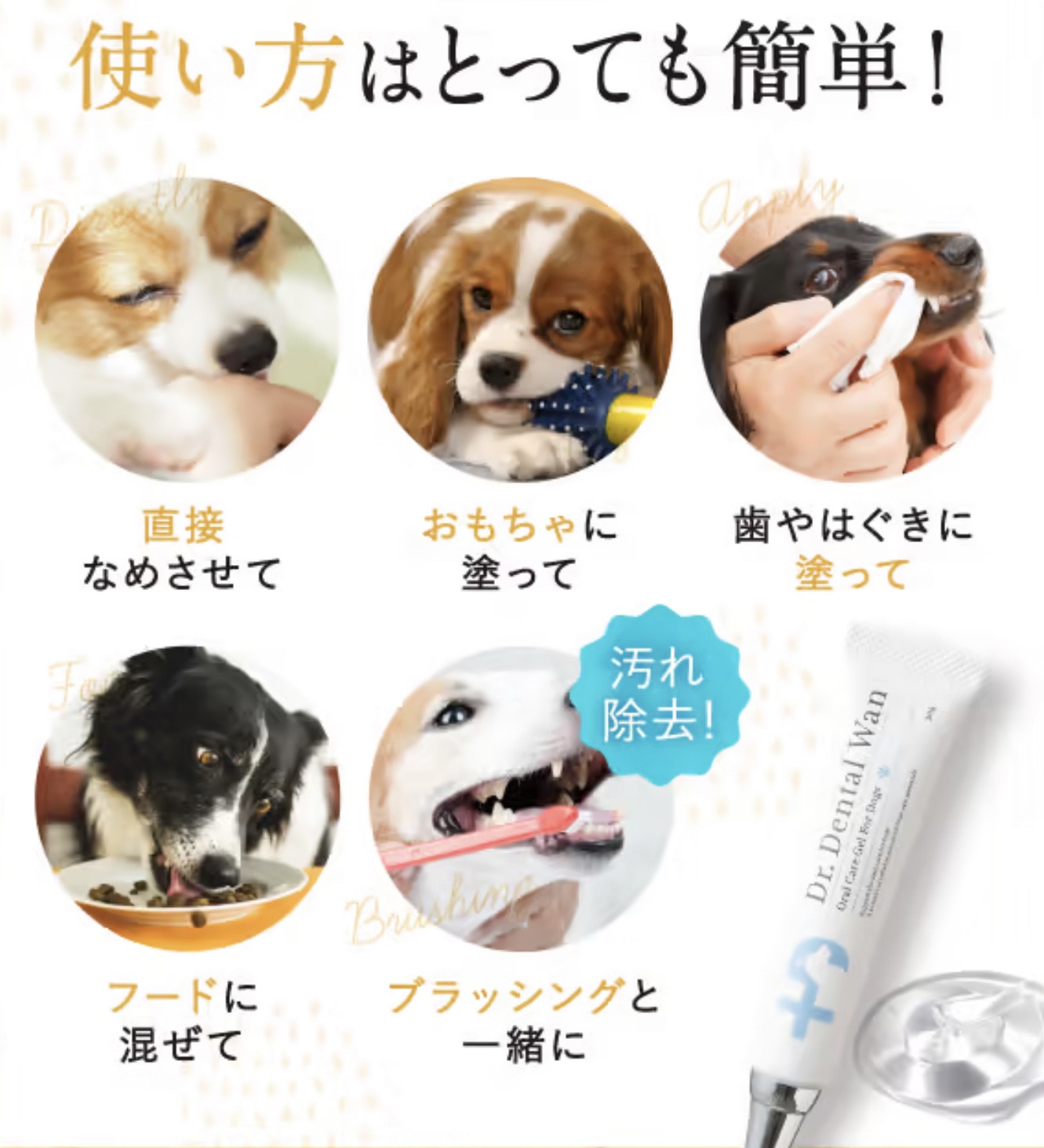 様々な使い方ができる、愛犬用デンタルケア商品